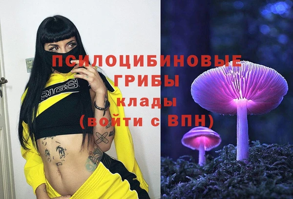 PSILOCYBIN Алексин