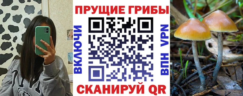 Псилоцибиновые грибы MAGIC MUSHROOMS  мега как войти  Иркутск  что такое наркотик 