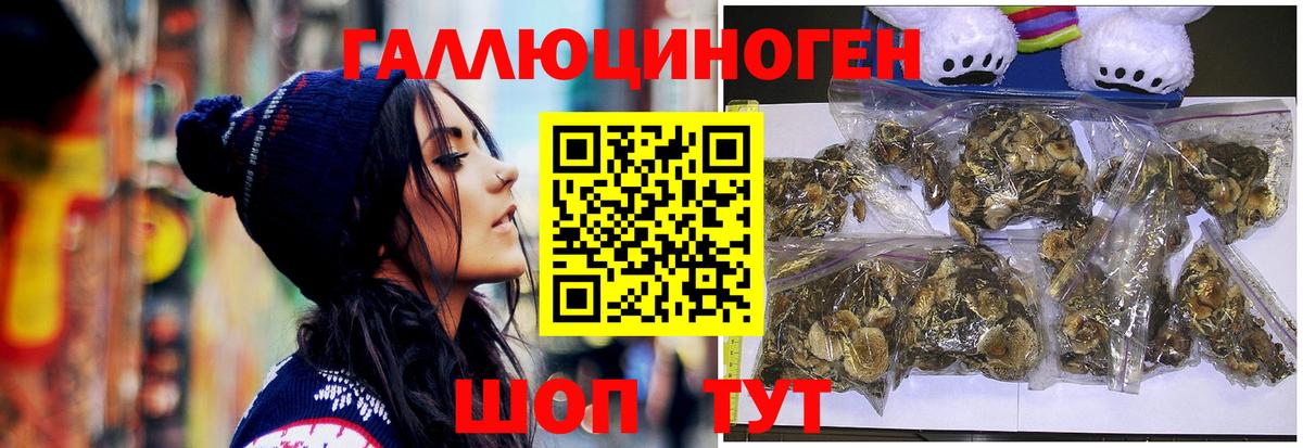 Галлюциногенные грибы Psilocybe Иркутск